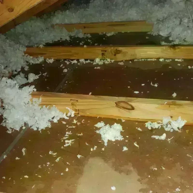 Attic Water Damage in Dollar Point, CA