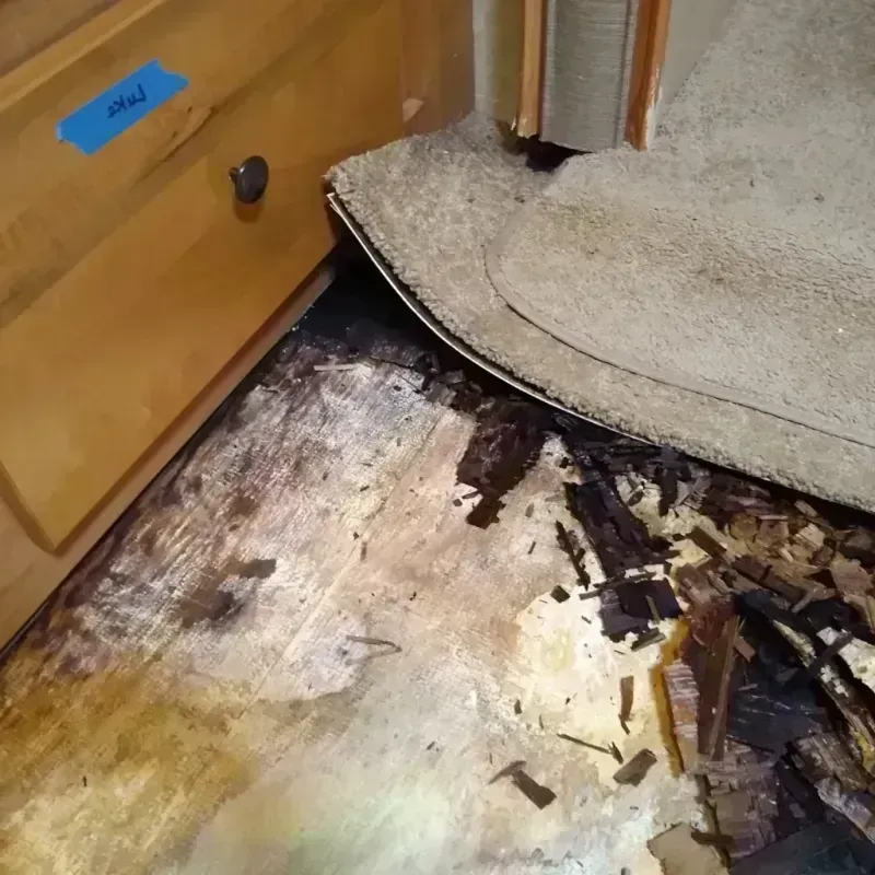 Wood Floor Water Damage in Dollar Point, CA